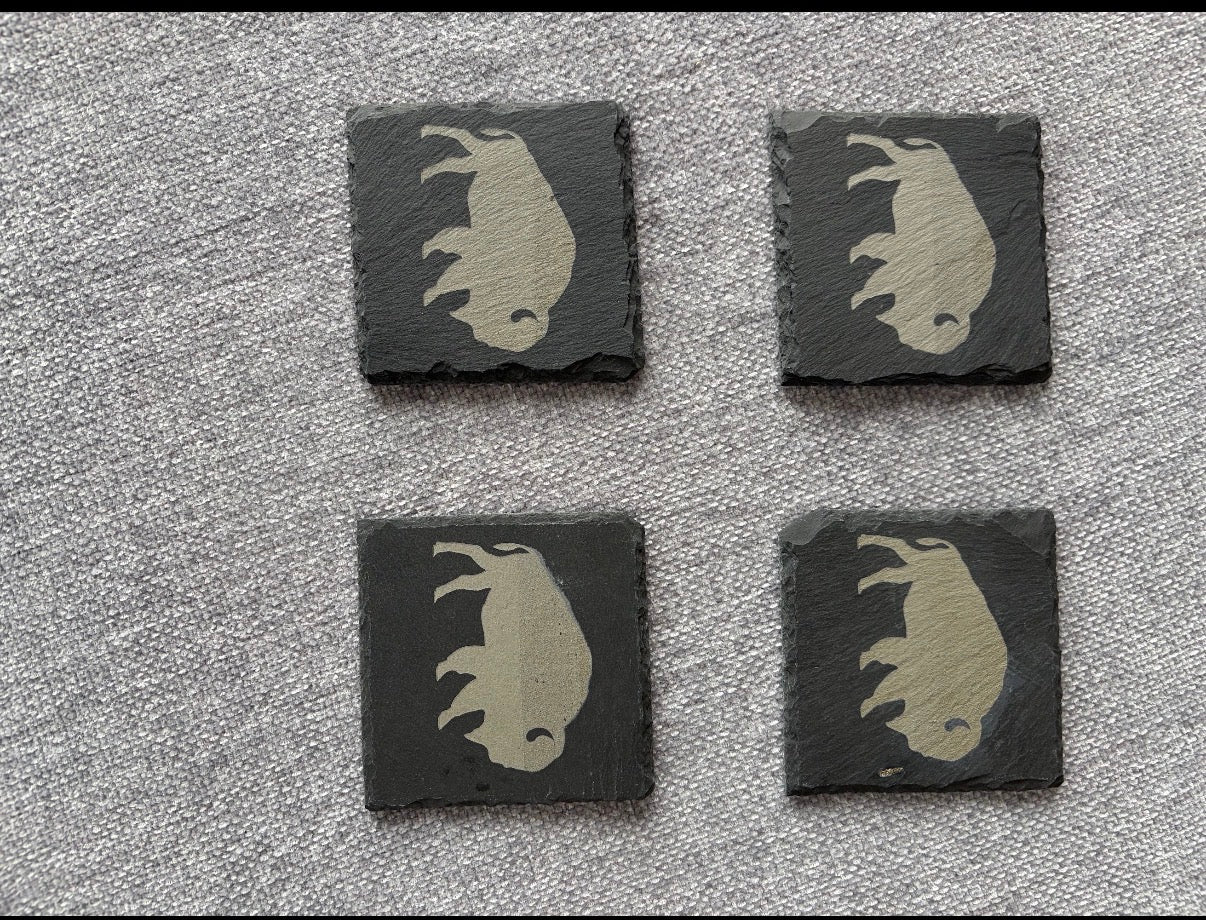 Laser engraved slate coasters